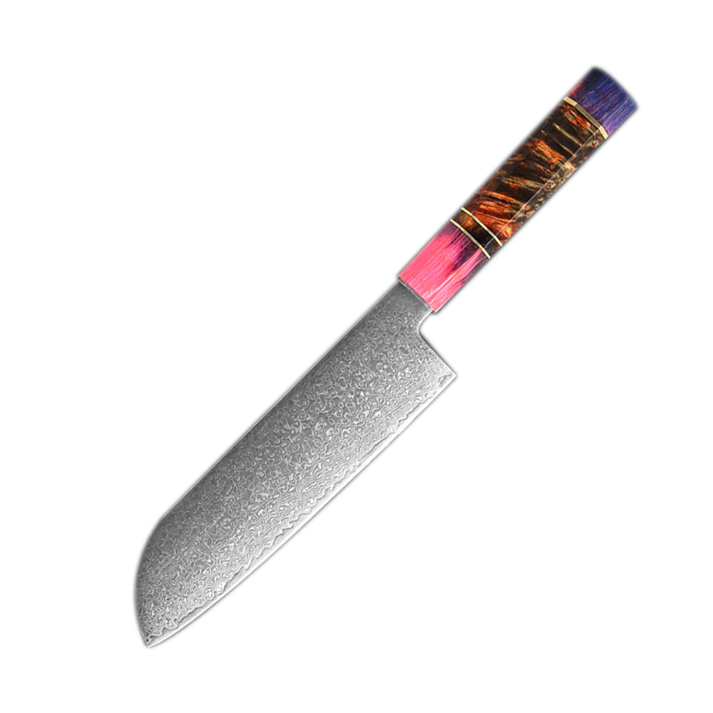 Multifunction Household High Carbon 67 Layers VG10 Damascus Kitchen Knife Set With Random Color Handle