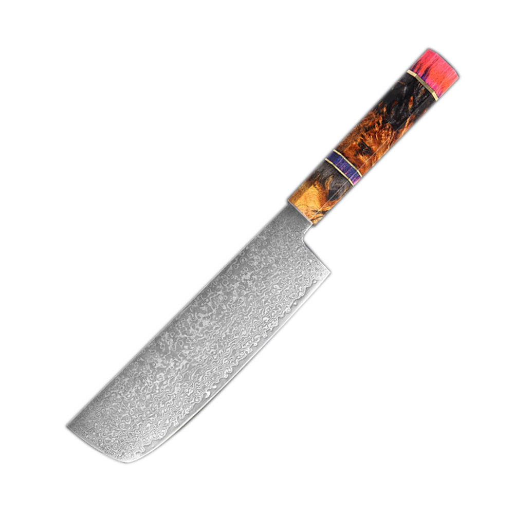 Multifunction Household High Carbon 67 Layers VG10 Damascus Kitchen Knife Set With Random Color Handle