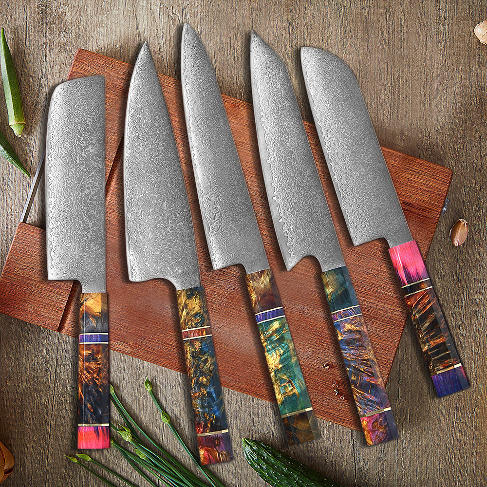 Multifunction Household High Carbon 67 Layers VG10 Damascus Kitchen Knife Set With Random Color Handle