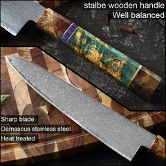 Multifunction Household High Carbon 67 Layers VG10 Damascus Kitchen Knife Set With Random Color Handle