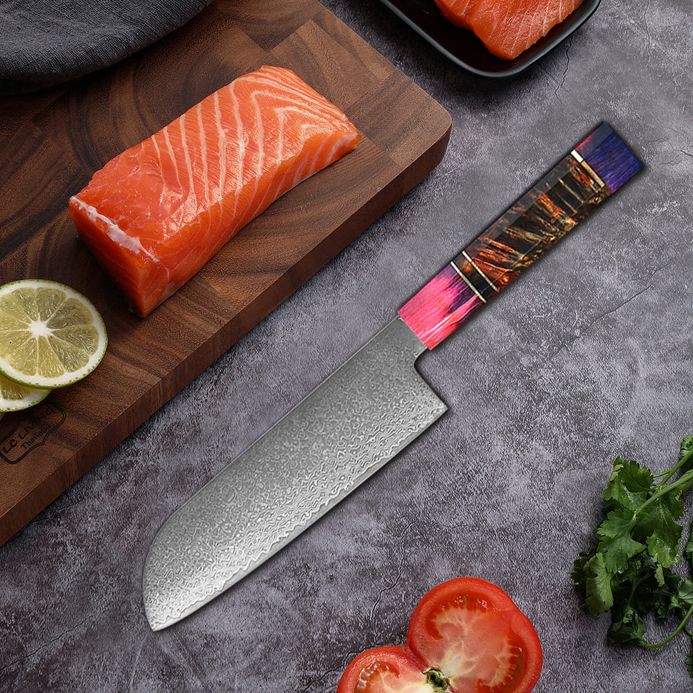 Multifunction Household High Carbon 67 Layers VG10 Damascus Kitchen Knife Set With Random Color Handle