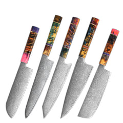 Multifunction Household High Carbon 67 Layers VG10 Damascus Kitchen Knife Set With Random Color Handle